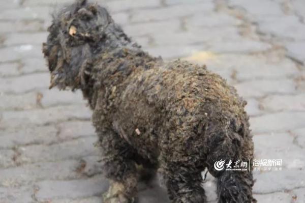 突發(fā)！青島一居民樓發(fā)生爆燃！已造1人死亡，7人受傷！3公里外有震感…