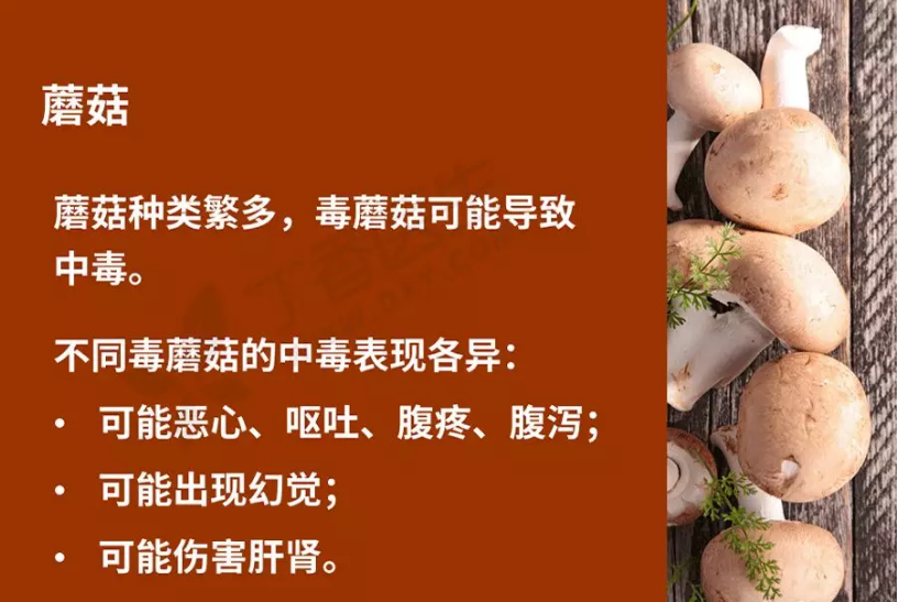 1608174870937914.png 圖片.png