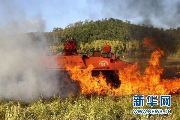 【動畫】森林草原防火“十不準(zhǔn)”“五不燒”！這些安全知識要牢記